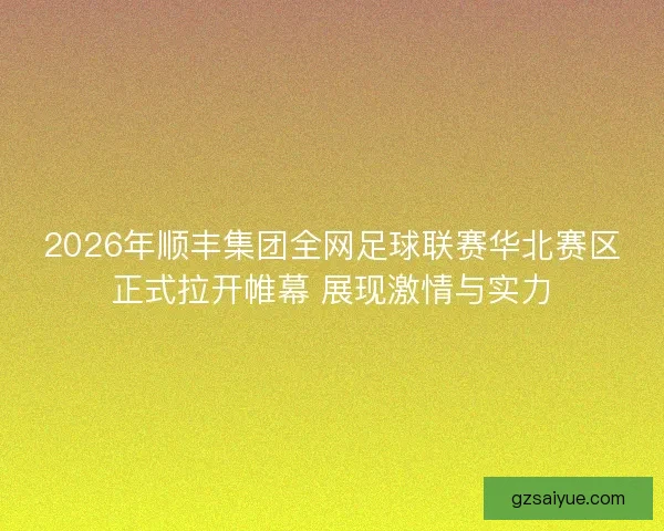 2026年顺丰集团全网足球联赛华北赛区正式拉开帷幕 展现激情与实力