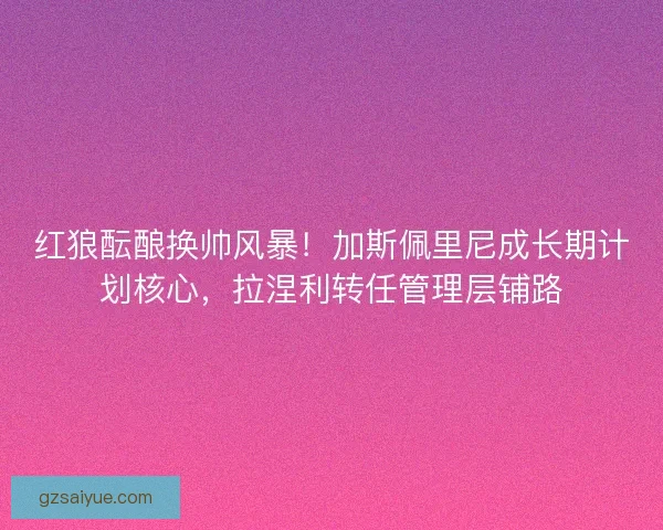 红狼酝酿换帅风暴！加斯佩里尼成长期计划核心，拉涅利转任管理层铺路